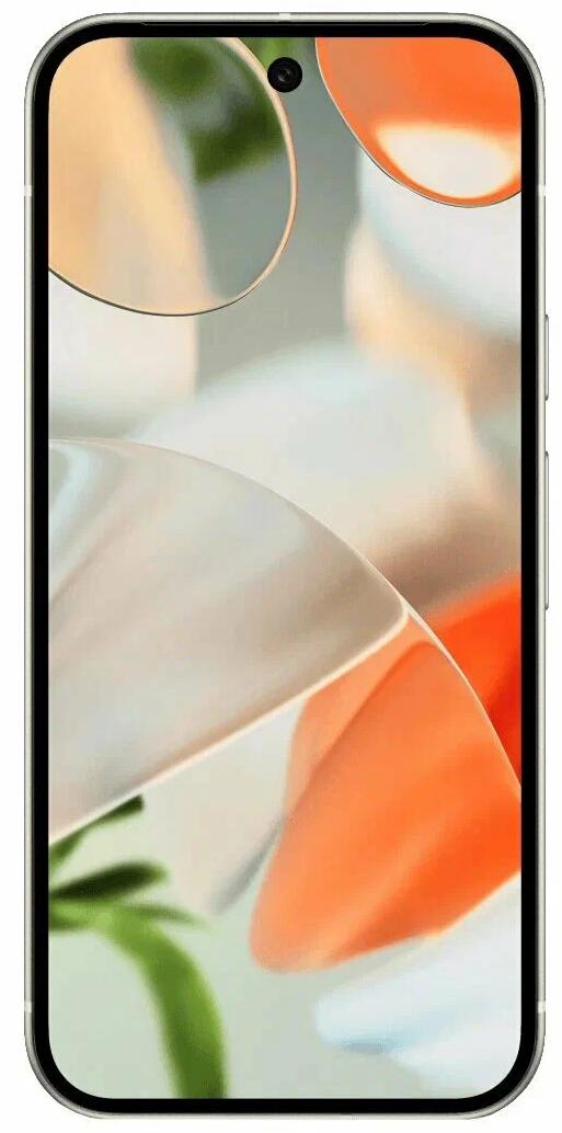 Google Pixel 9 12/256 ГБ Фарфоровый
