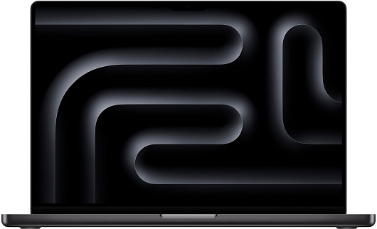 Apple MacBook Pro 14" (M4 10C CPU, 10C GPU, 2024) 16 ГБ, 1 ТБ SSD, Черный космос, MW2V3