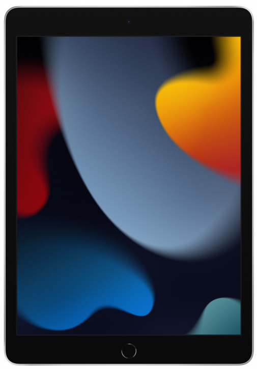 Apple iPad 10,2" (2021) Wi-Fi + Cellular 256 ГБ Серебристый