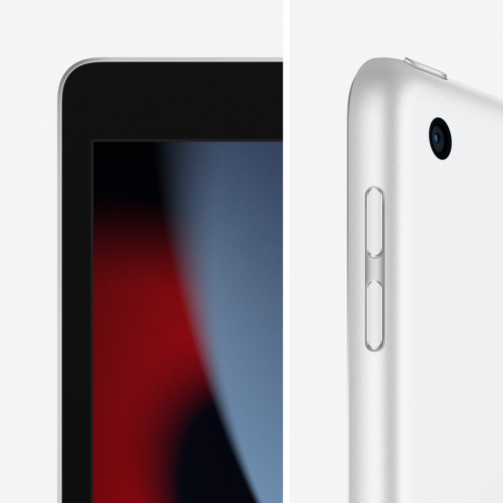 Apple iPad 10,2" (2021) Wi-Fi + Cellular 256 ГБ Серебристый